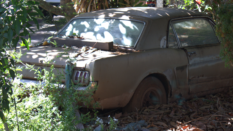Illustration for article titled A True Jalopy - Maui Style